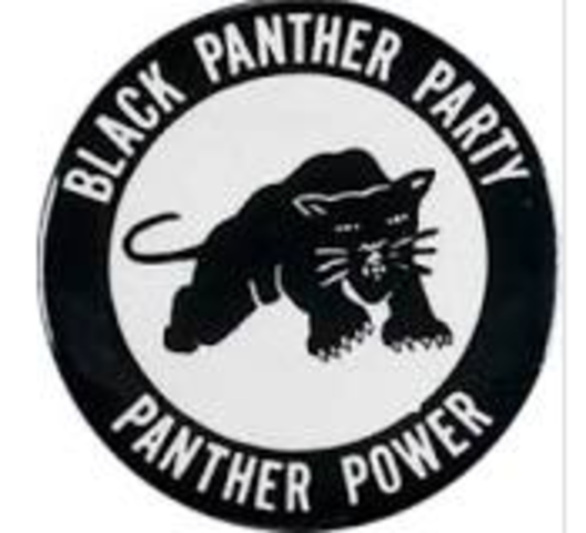 Black Panther movement