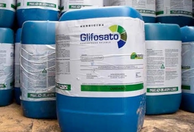 Erradicacion de cultivos con glifosato