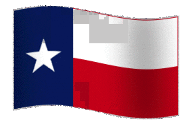 Texas Succession