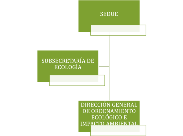 LA DIRECCIÓN DE ORDENAMIENTO ECOLÓGICO E IMPACTO AMBIENTAL