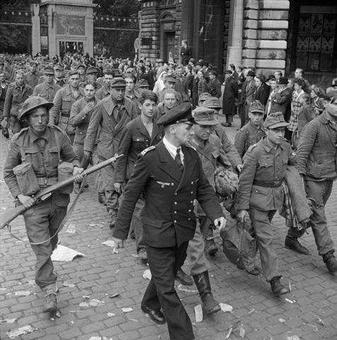 Antwerp liberated