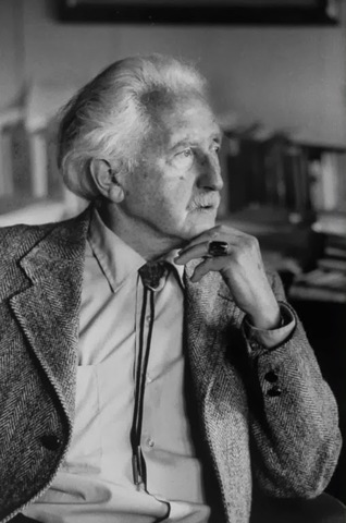 nace Erik Erikson