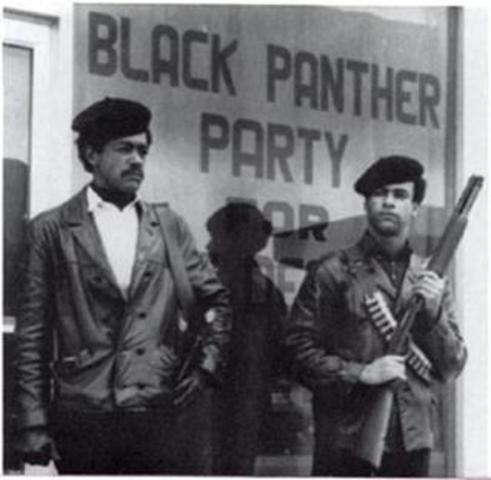 Black Panthers (8.2.II.A)