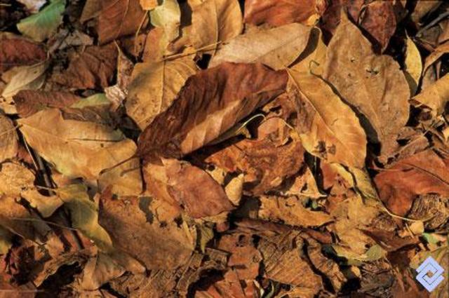 "Sucesos que abarcan la historia"