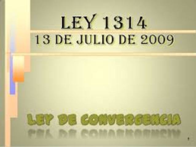 Ley 1314