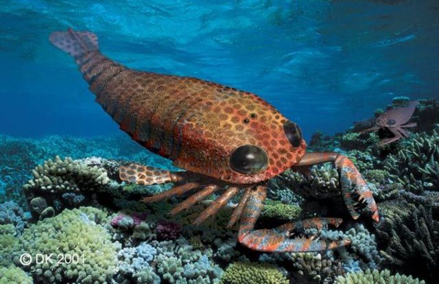 El periodo Ordovicico