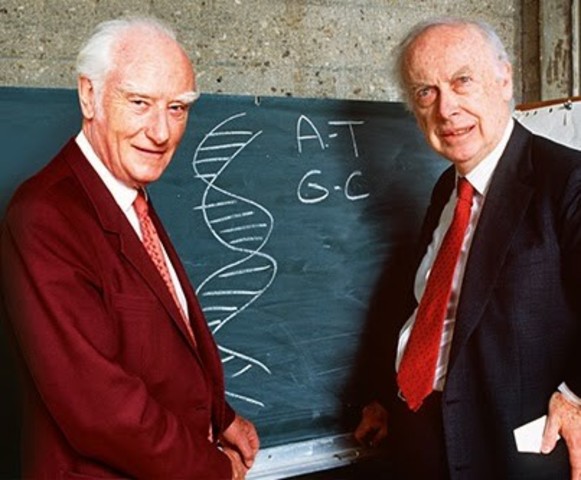 Watson y Crick