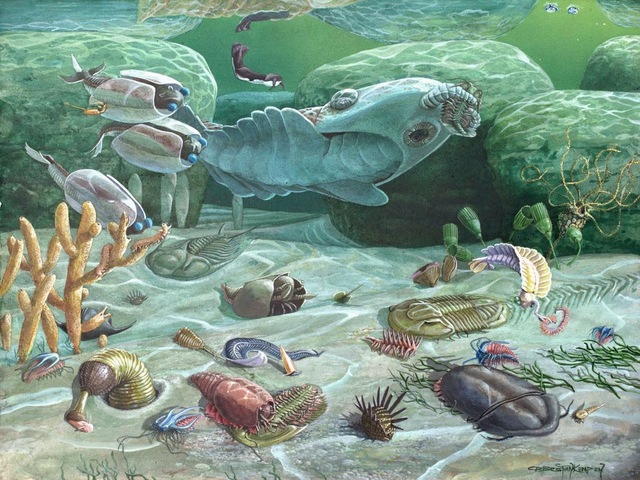Paleozoico