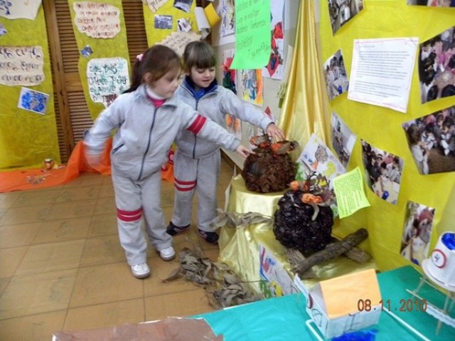 EDUCACIÓN FUNCIONAL