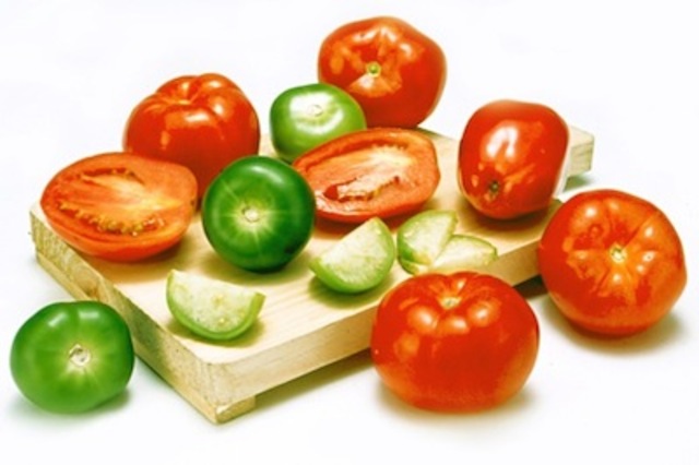 Modificación en el campo agrícola