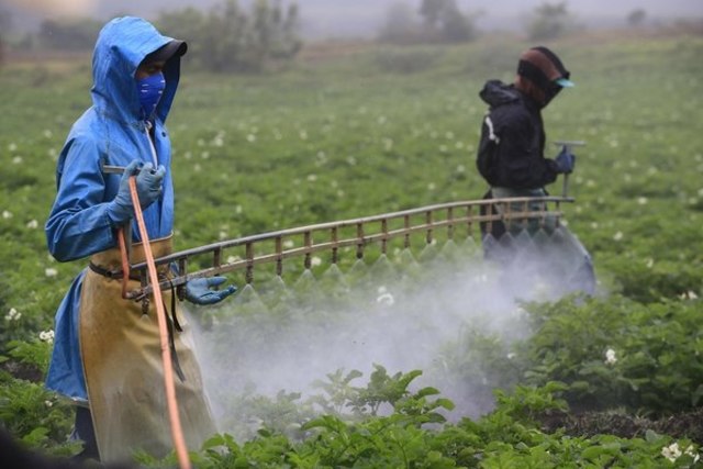 Creación de plaguicidas