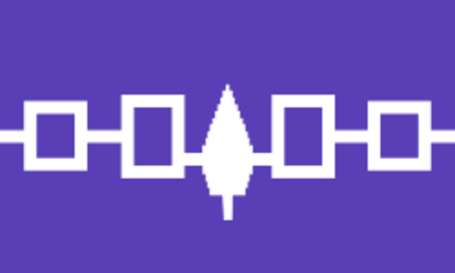 haudenosaunee (Iroquis) confederacy