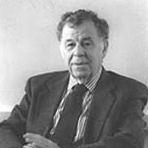 TEORÍA ESTRUCTURALISTA, Amitai Etzioni