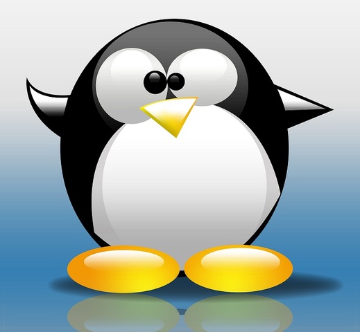 Sistema operativo Linux.