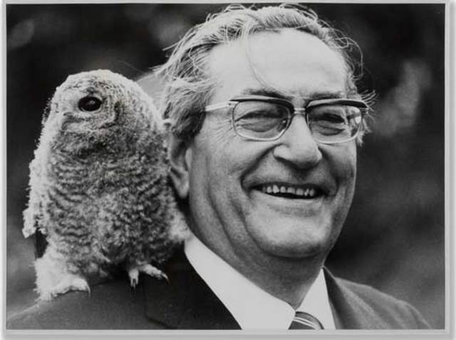 Poesía:《La Casa Encendida》