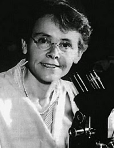 Barbara Mclintof (1902-1992)