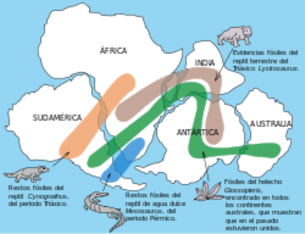 Expone públicamente sus primeros pensamientos sobre la deriva continental