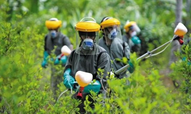 Un problema duro de erradicar en Túmaco