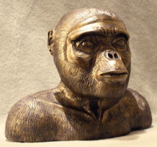 Ardipithecus ramidus