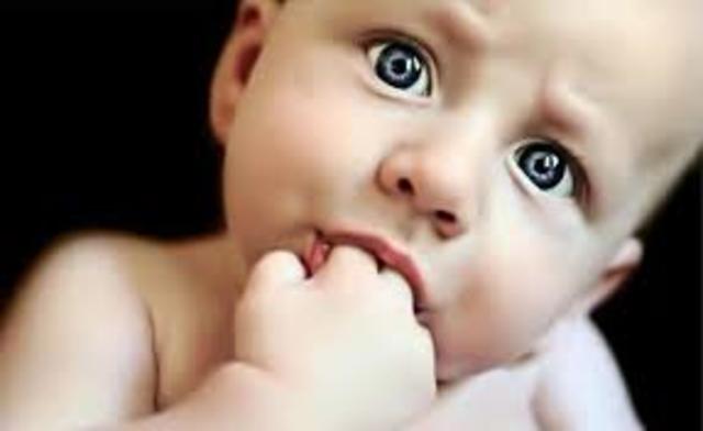 REACCIONES CIRCULARES PRIMARIAS