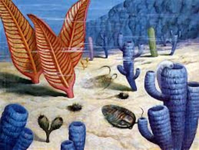 periodos de la era palezoica