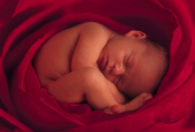 Período de embarazo