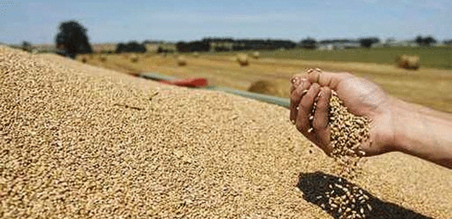 Importación de harina