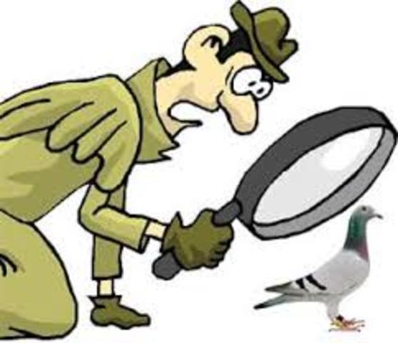 Estudio de los hechos.