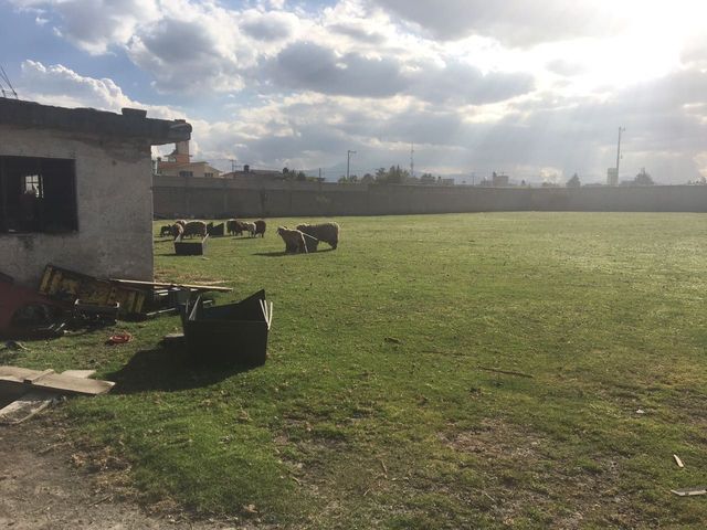 Se muda: Col. San Lorenzo