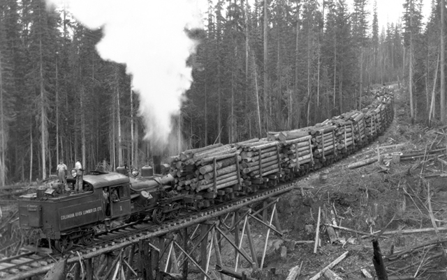 British Columbia passed first Forest Act