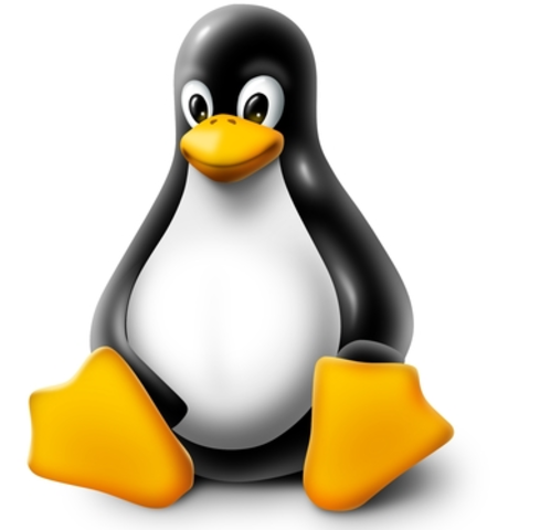 Linux
