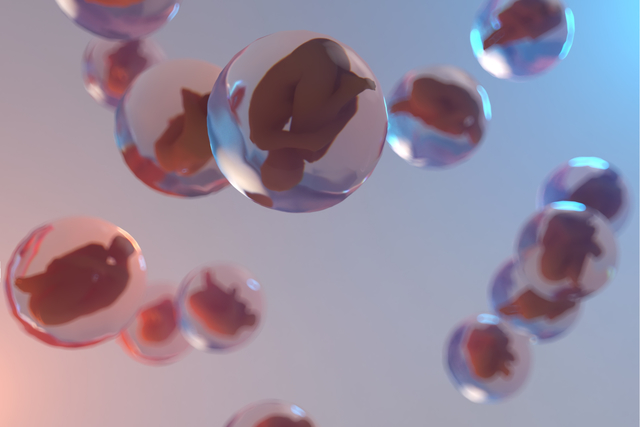 Clonar genes humanos.