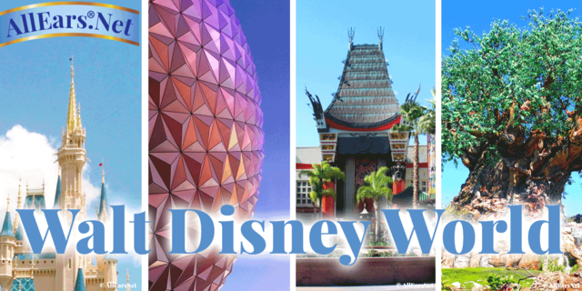 Mi primer viaje a Disney world