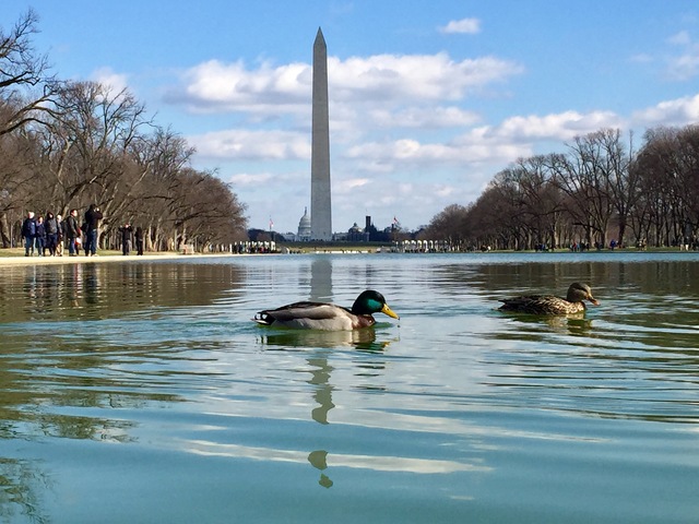 Viaje por primera vez a Nueva York y Washington D.C