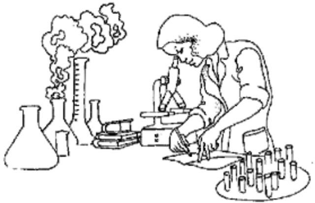 LA “OBSERVACIÓN NUMÉRICA” Y LA COMPRENSIÓN DE LAS CAUSAS DE ENFERMEDAD