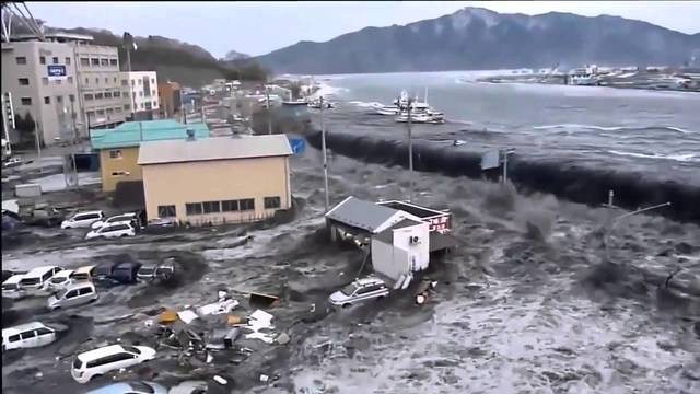 Tsunami- terremoto