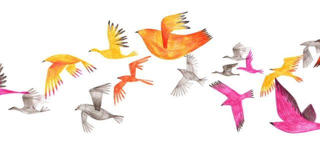 Declaración y Plan de Acción Integrado sobre la Educación para la Paz