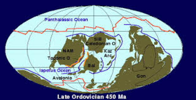 Late Ordovician Cont.