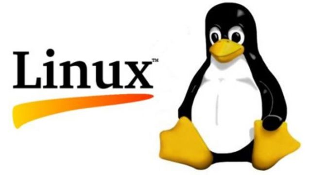 LINUX