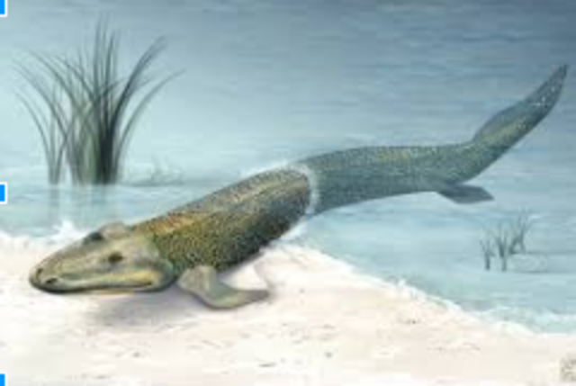 Late Devonian Species Lost #3