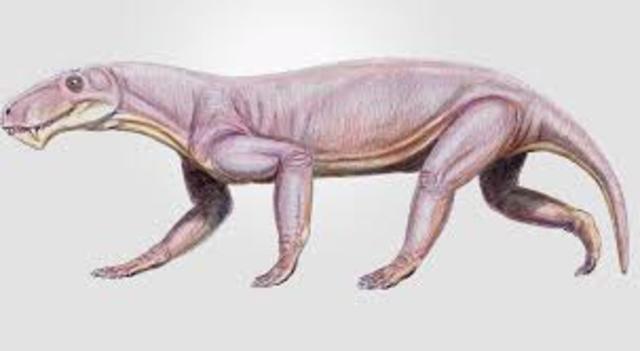 End Triassic Species Lost #2