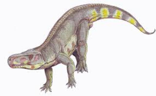 End Triassic Species Lost #3