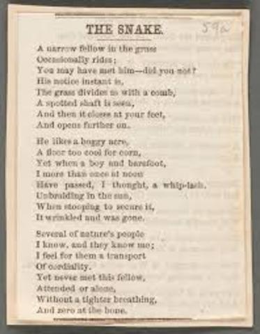"The Snake". Emily Dickinson: