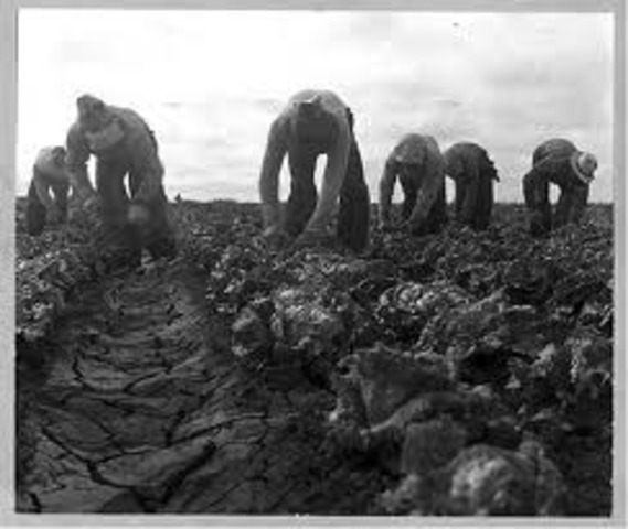 By 1936, farmers are losing 25 million dollara a day