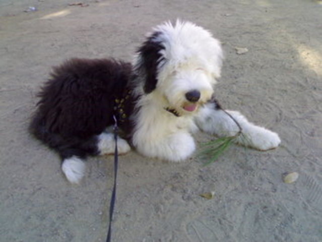 Cambio la dentición, empiezo a ser mayor