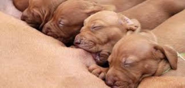 Abrimos los ojos, a ver qué aspecto tiene mamá...