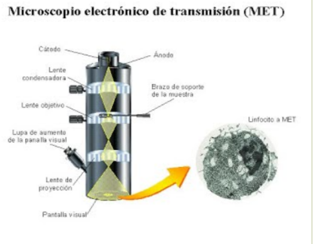 Aparece el microscopio de efecto túnel ( MET)