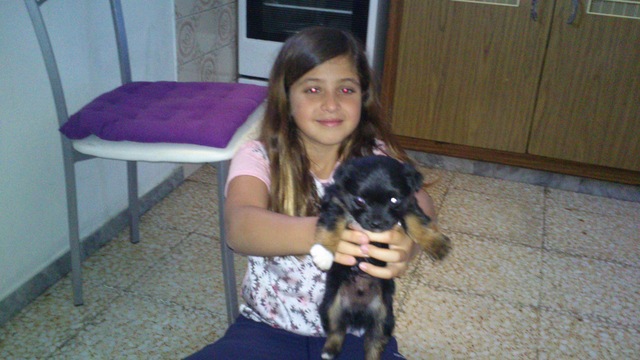 Le regalan un perrito a mi abuela