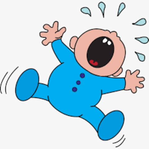 TIEMPO DE IR AL JARDIN