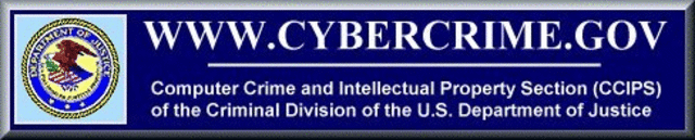 The Computer Crime and Intellectual Property Section